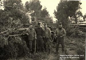 Palica - Divers 057